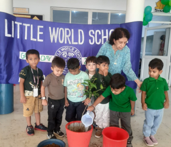 Green Day Activity 