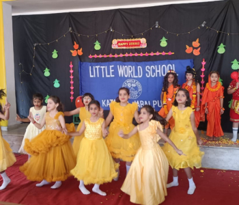 Diwali Celebration 2025